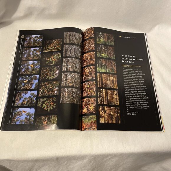 National Geographic December 2023 Pictures Of The Year Spain's Alhambra Caribou - Picture 7 of 10